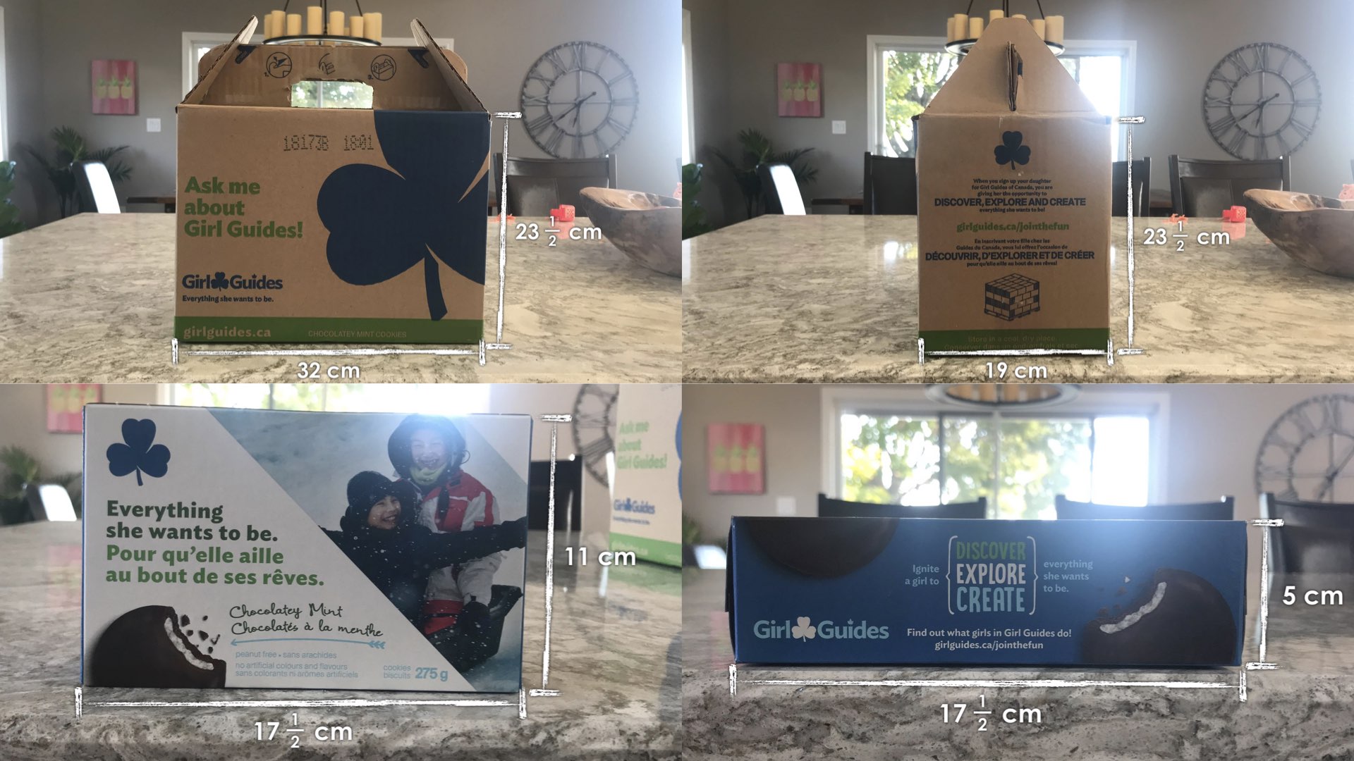 Girl Guide Cookies Make Math Moments Academy