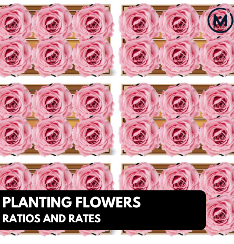 Planting Flowers | Ratios and Rates | 5-Day Problem Based Math Unit
